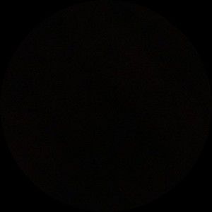 Meet your Posher, Mishka